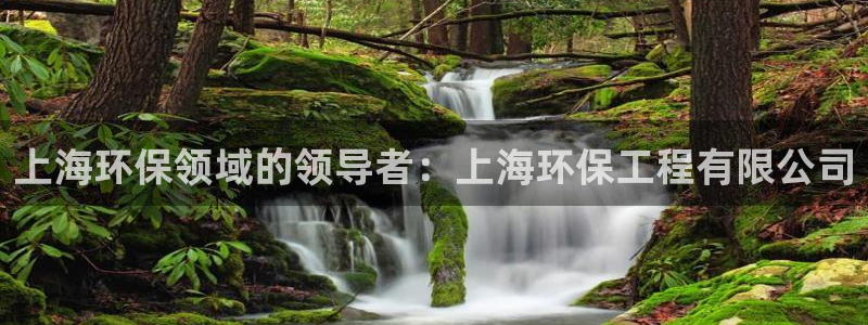 彩名堂免费计划软件下载：上海环保领域