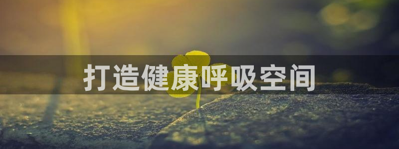 彩名堂还可以用吗：打造健康呼吸空间