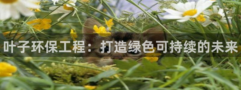 彩名堂免费计划官网50：叶子环保工程