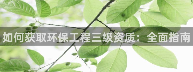 彩名堂使用方法：如何获取环保工程三级