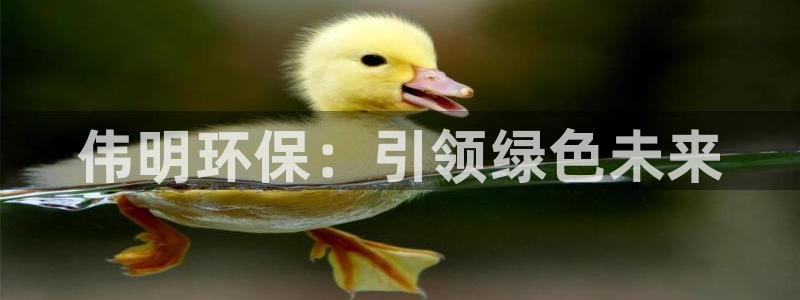 彩名堂移动客户端怎么下载：伟明环保：