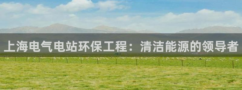 彩名堂客户：上海电气电站环保工程：清