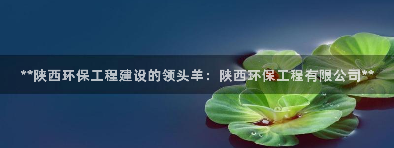 彩名堂app彩名堂客户端：**陕西环