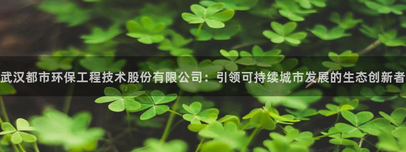 老版彩名堂：武汉都市环保工程技术股份