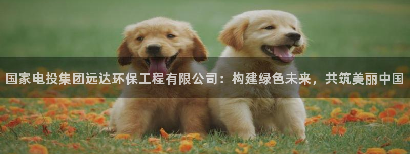 彩名堂预测免费计划：国家电投集团远达