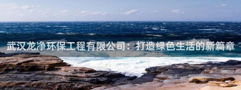 彩名堂排三：武汉龙净环保工程有限公司