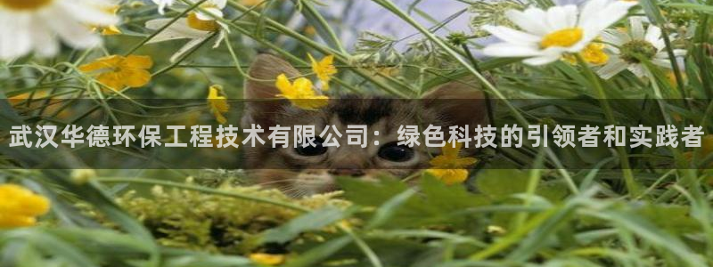 彩名堂首页：武汉华德环保工程技术有限