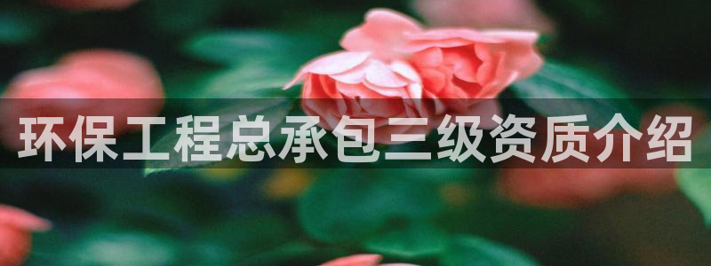 彩名堂下载官网：环保工程总承包三级资