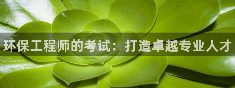 彩名堂免费计划5.0使用方法是什么：