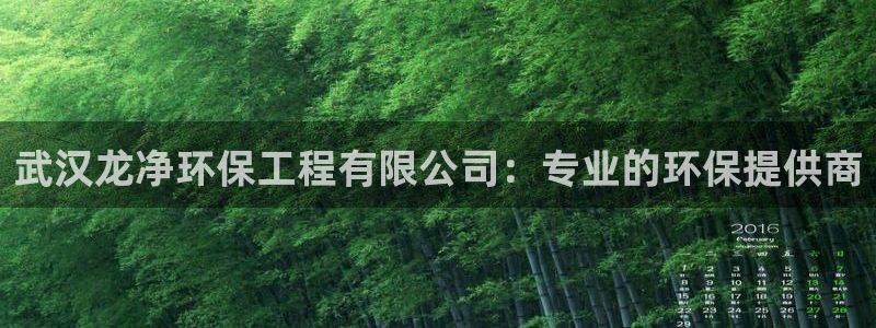 彩名堂免费计划5.0使用方法：武汉龙