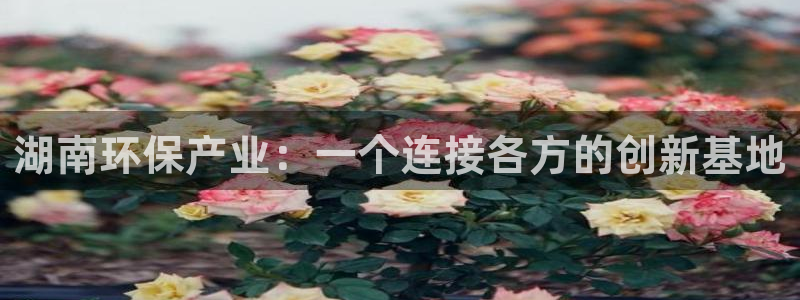 彩名堂好用还是千里马好用：湖南环保产