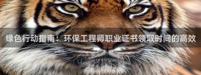 彩名堂好用还是千里马好用一点：绿色行