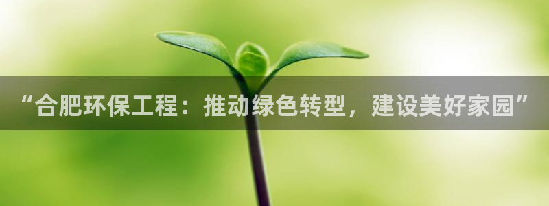 彩名堂是不是坑人的：“合肥环保工程：