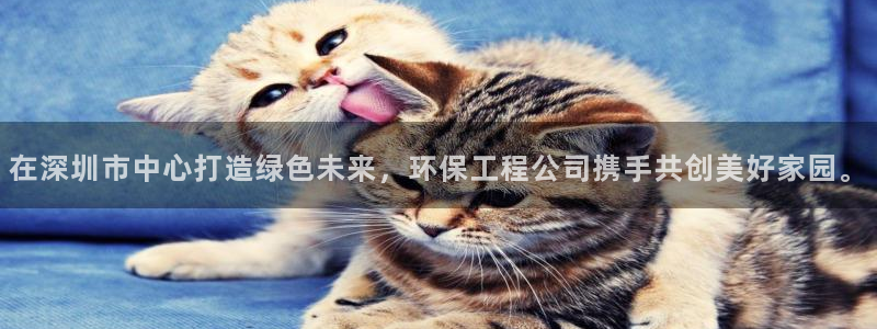 彩名堂5.0计划永久免费版为什么下不了：在深圳市中心打造绿色