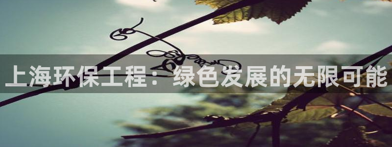 彩名堂01计划：上海环保工程：绿色发