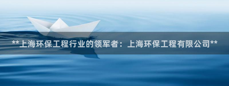 彩名堂是正规的公司吗：**上海环保工程行业的领军者：上海环保