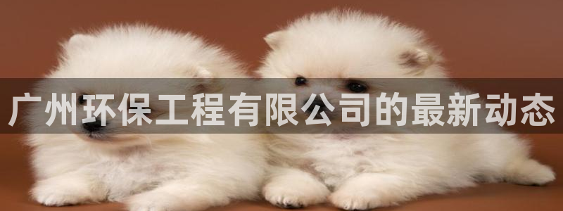 彩名堂官网：广州环保工程有限公司的最新动态