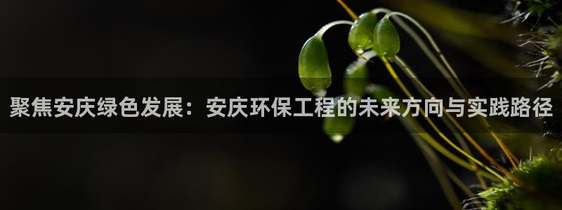 彩名堂在线下载：聚焦安庆绿色发展：安庆环保工程的未来方向与实