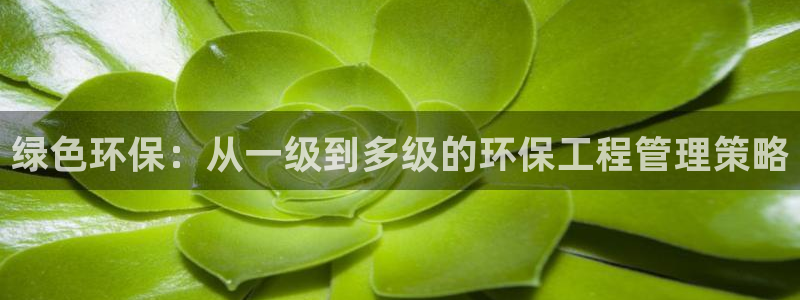 彩名堂怎么用不输：绿色环保：从一级到
