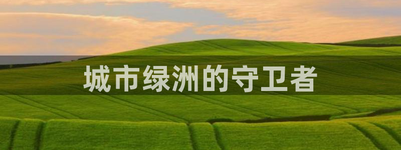 彩名堂怎么打最稳：城市绿洲的守卫者