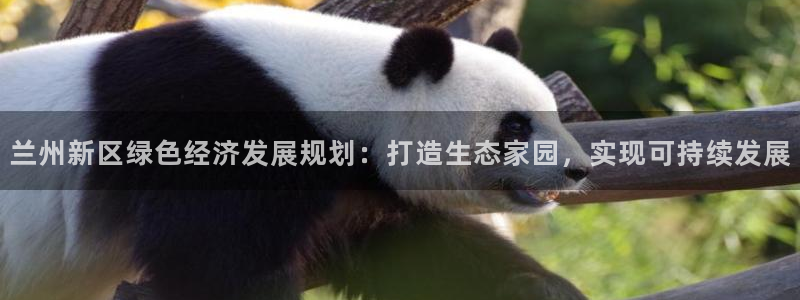 彩名堂图片：兰州新区绿色经济发展规划