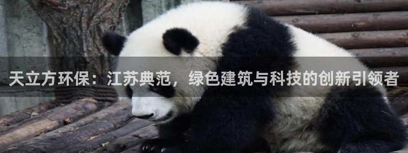 彩名堂官网网页计划：天立方环保：江苏典范，绿色建筑与科技的创