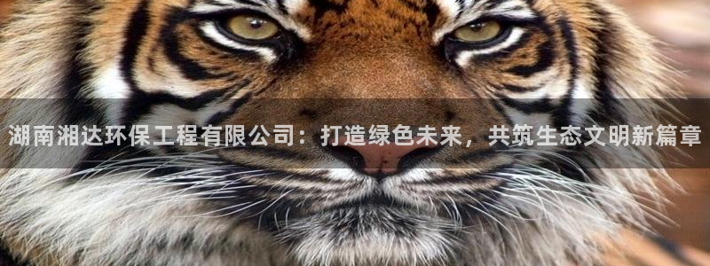 彩名堂客服：湖南湘达环保工程有限公司