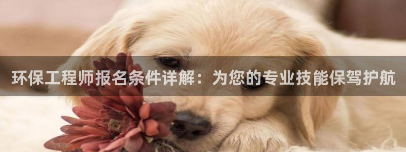 彩名堂移动客户端怎么下载：环保工程师报名条件详解：为您的专业