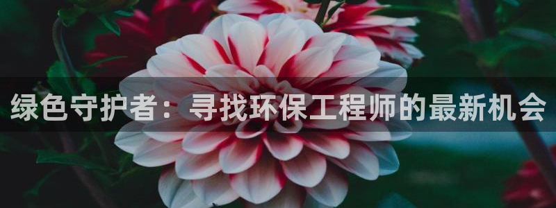 彩名堂计划和01计划怎么很稳：绿色守护者：寻找环保工程师的最