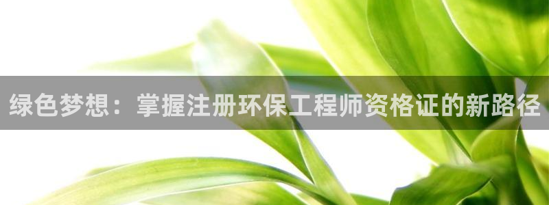 彩名堂改名稻草人了吗：绿色梦想：掌握注册环保工程师资格证的新