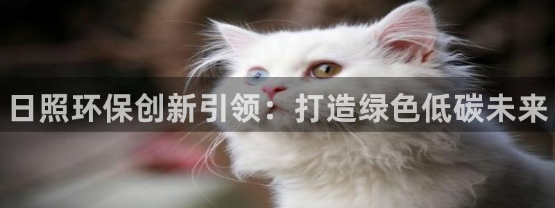 彩名堂不能用了吗：日照环保创新引领：打造绿色低碳未来