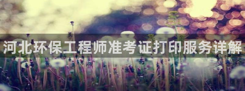 彩名堂网页：河北环保工程师准考证打印服务详解