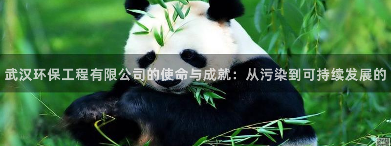 彩名堂彩：武汉环保工程有限公司的使命与成就：从污染到可持续发