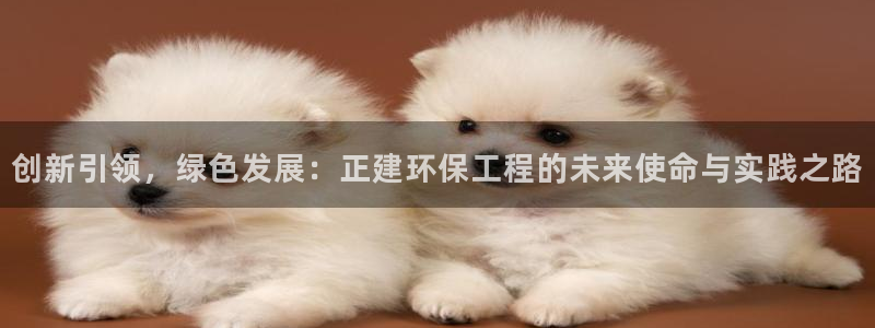 彩名堂免费计划5.0使用方法是什么：创新引领，绿色发展：正建