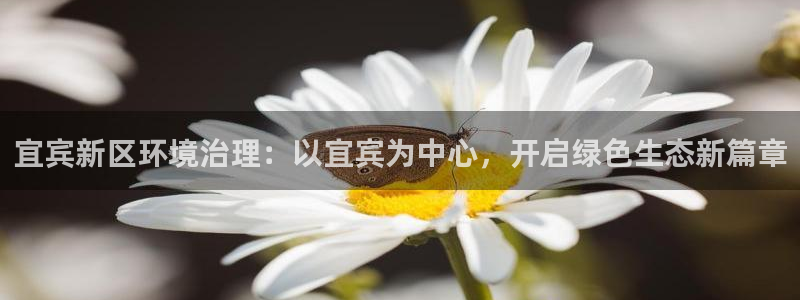 彩名堂5.0版计划怎么用不了：宜宾新区环境治理：以宜宾为中心
