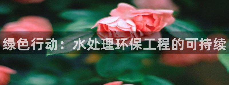 彩名堂免费计划官网怎么进不去了呢：绿色行动：水处理环保工程的