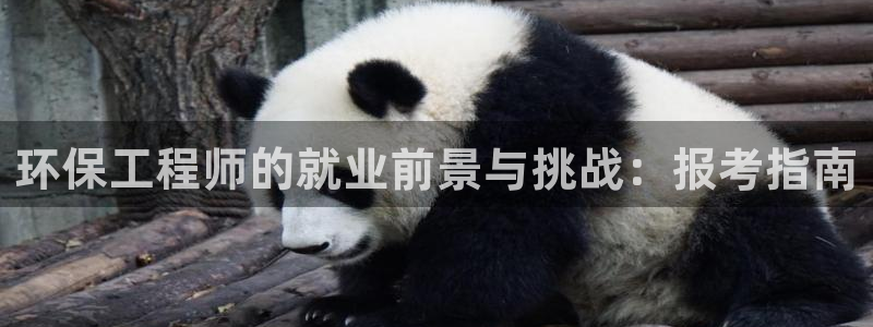 彩名堂计划怎么跟,为什么我一跟就挂：环保工程师的就业前景与挑