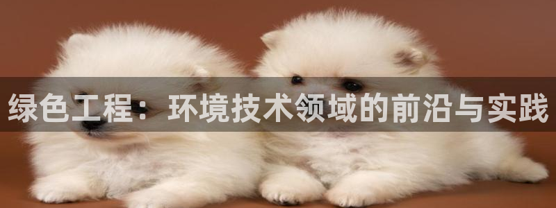 彩名堂还可以用吗：绿色工程：环境技术领域的前沿与实践