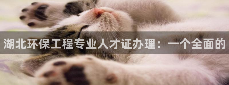 彩名堂官网客户端：湖北环保工程专业人