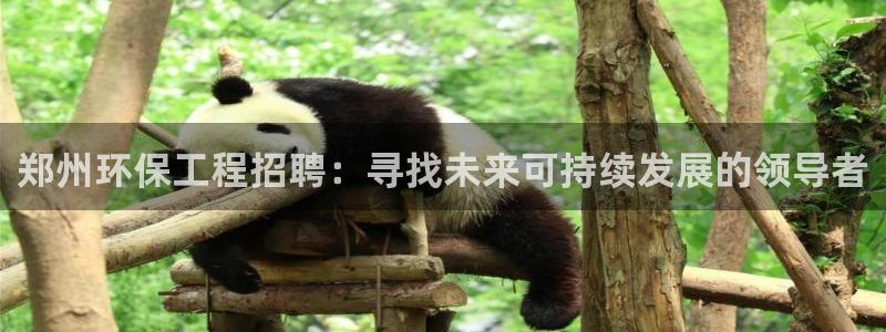 彩名堂5.0!：郑州环保工程招聘：寻