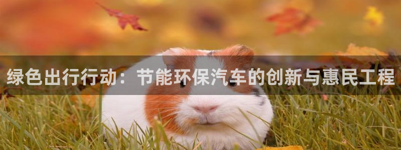 彩名堂首页：绿色出行行动：节能环保汽