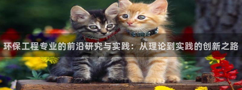 彩名堂图片：环保工程专业的前沿研究与实践：从理论到实践的创新
