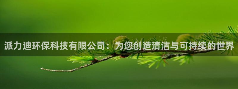 彩名堂5.0计划：派力迪环保科技有限公司：为您创造清洁与可持
