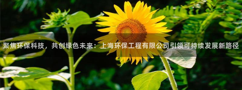 彩名堂app官方网：聚焦环保科技，共创绿色未来：上海环保工程