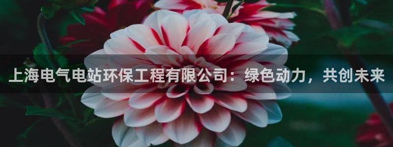 彩名堂官网计划怎么下载到手机：上海电气电站环保工程有限公司：绿色动力，共创未来