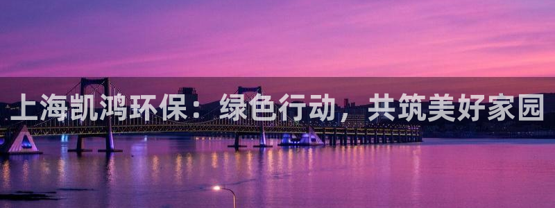 彩名堂预测计划软件：上海凯鸿环保：绿