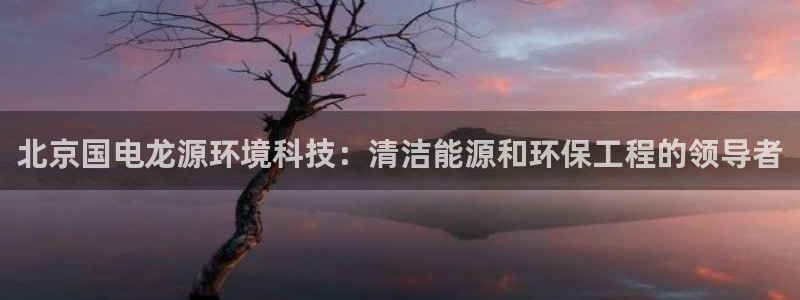 彩名堂网页：北京国电龙源环境科技：清