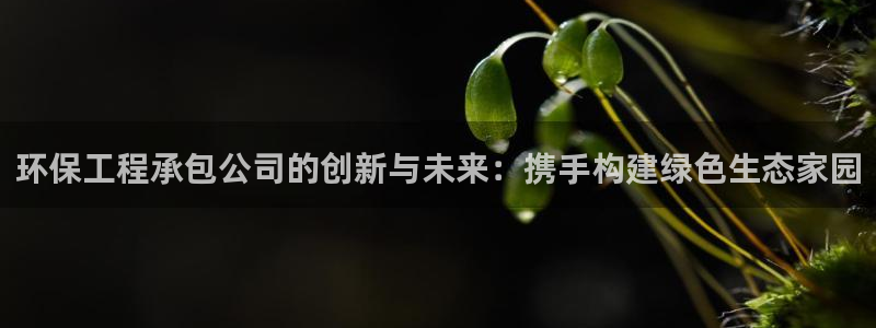 彩名堂合作655560：环保工程承包