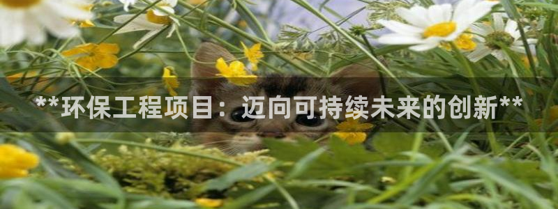 彩名堂免费计划官网50：**环保工程