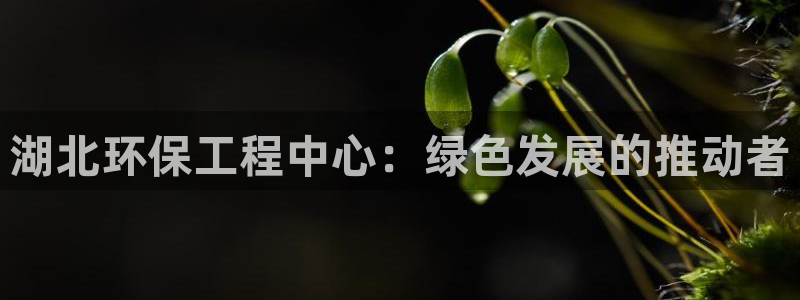 彩名堂计划和01计划怎么很稳：湖北环